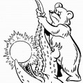 Медведь схватил крокодила - раскраска №769