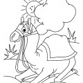 Верблюд отдыхает - раскраска №1106