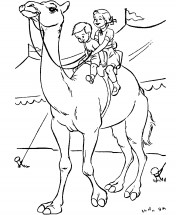 Верблюд с детьми - раскраска					№1110