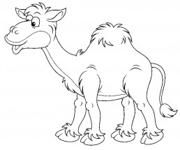 Кудлатый верблюд - раскраска					№1114