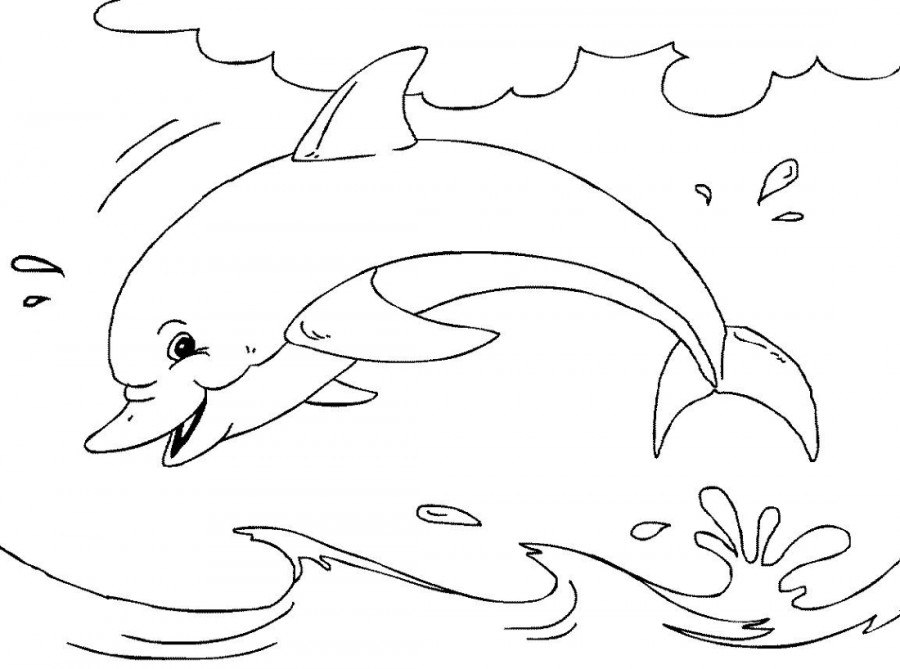 Дельфин плескается - раскраска №1141