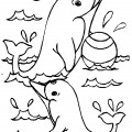 Дельфины с мячиком - раскраска №1144