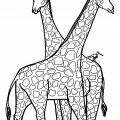 Два жирафа - раскраска №1178