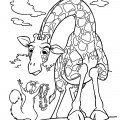 Жираф и бельчонок - раскраска №1182