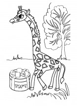 Жираф и торт - раскраска					№1185
