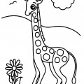 Жираф и цветочек - раскраска №1186