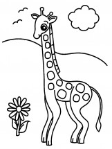 Жираф и цветочек - раскраска					№1186