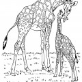 Мама и жирафенок - раскраска №1191