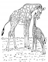 Мама и жирафенок - раскраска					№1191