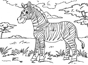 Зебра в дикой природе - раскраска					№1197