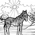 Зебра и солнышко - раскраска №1201
