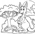 Молодой кенгуру - раскраска №1327