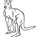 Настоящий кенгуру - раскраска №11172
