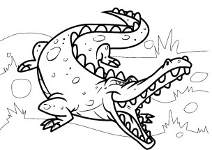 Страшный крокодил - раскраска					№1314