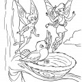 Феи пролетают мимо гнезда с птичкой - раскраска №1305