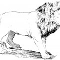 Симпатичный лев - раскраска №10267