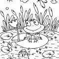 Лягушка на болоте - раскраска №3086