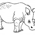 Носорог большой - раскраска №2277