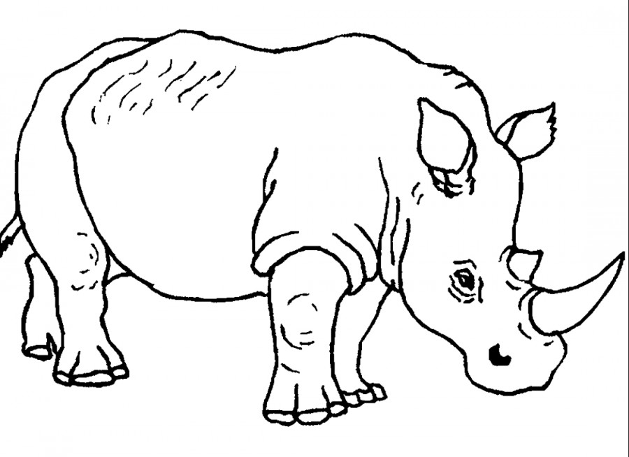 Носорог большой - раскраска №2277