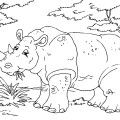 Носорог жует траву - раскраска №8032