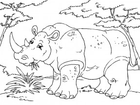Носорог жует траву - раскраска					№8032