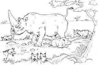 Носорог и другие звери - раскраска					№2057