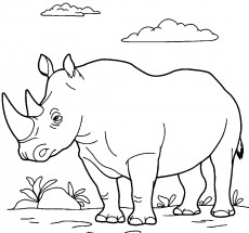 Носорог на лужайке - раскраска					№2789