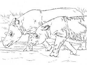 Носорог с блокнотом - раскраска					№8675