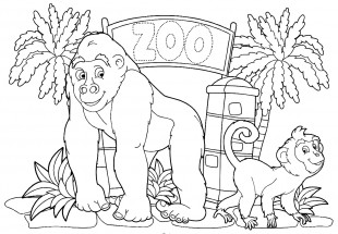 Обезьяны в зоопарке - раскраска					№9553
