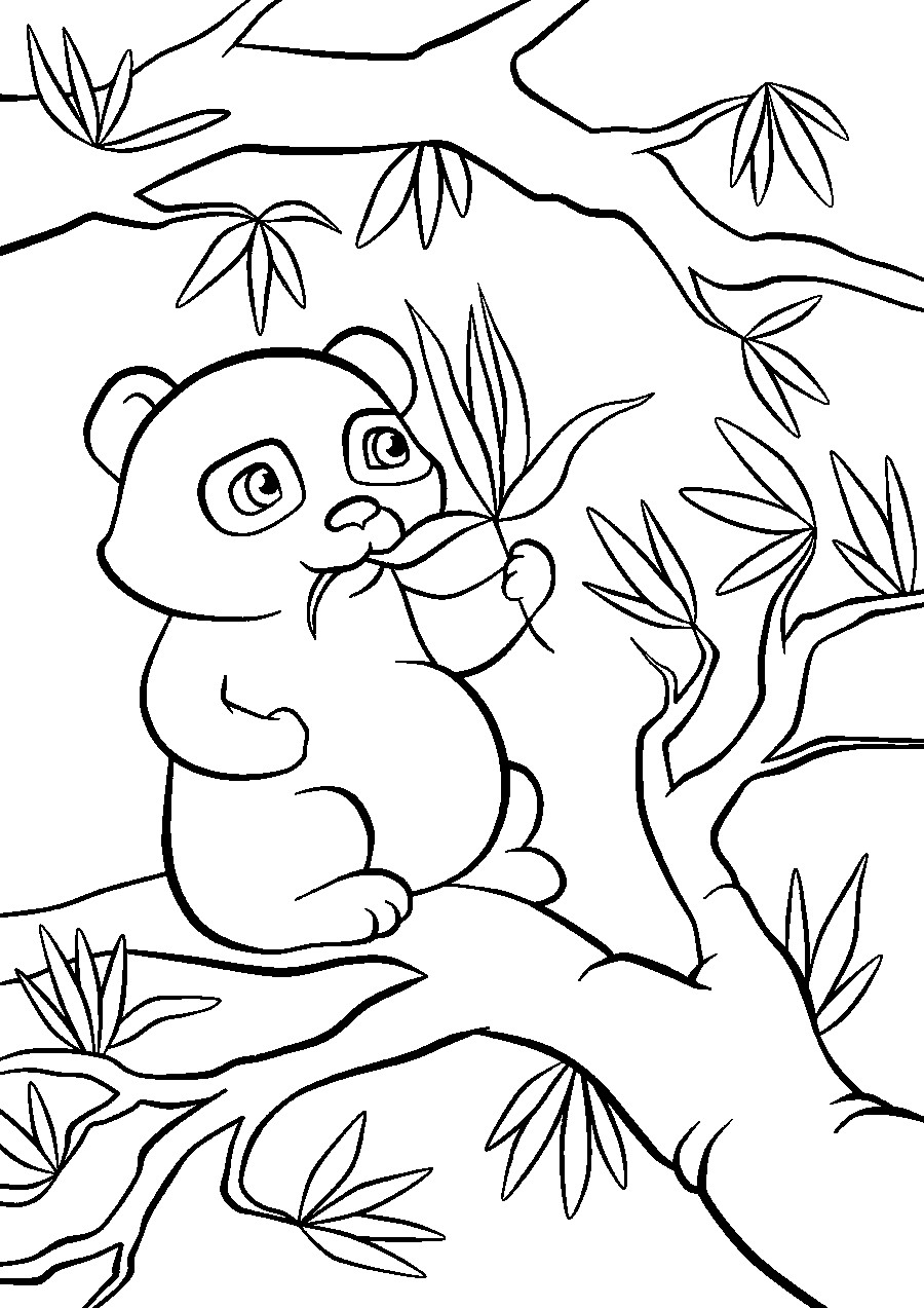 Панда на дереве - раскраска №2119
