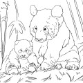 Панда с малышом - раскраска №2298