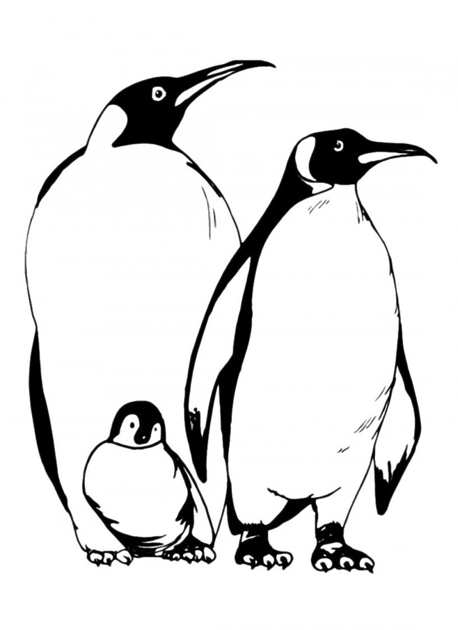 Семья пингвинов - раскраска №11196