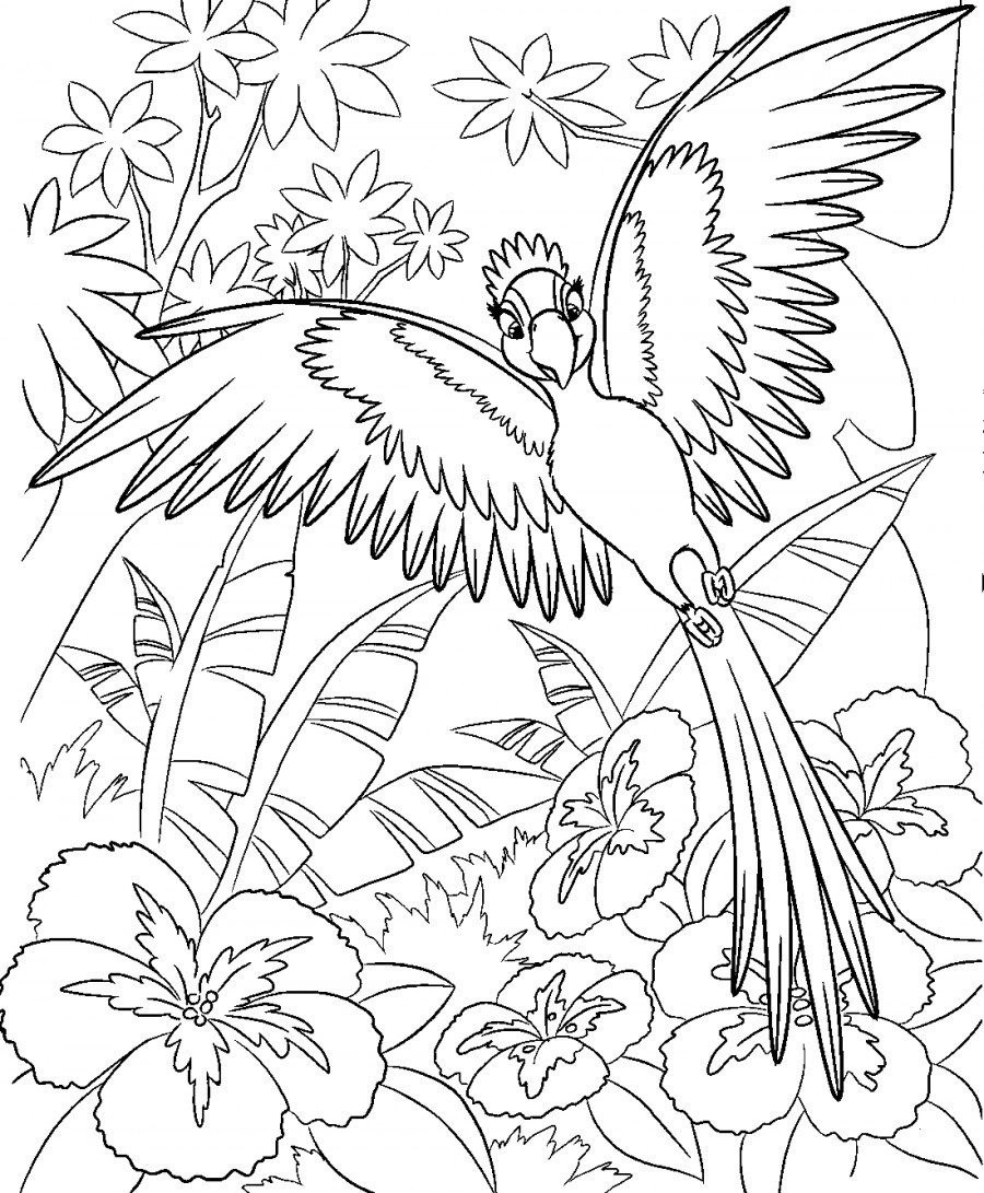 Попугай в джунглях - раскраска №5903