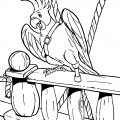 Попугай на палубе - раскраска №9979