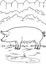 Свинка на ферме - раскраска					№2229