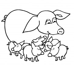 Свинка с детками - раскраска					№8057