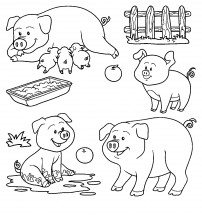 Свинки во дворе - раскраска					№3036