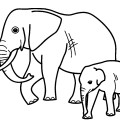 Мама слон и слоненок - раскраска №2783