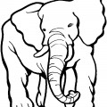 Слон большой - раскраска №2124