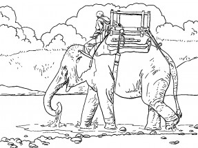 Слон и человек - раскраска					№2349