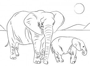 Слоны в природе - раскраска					№2147