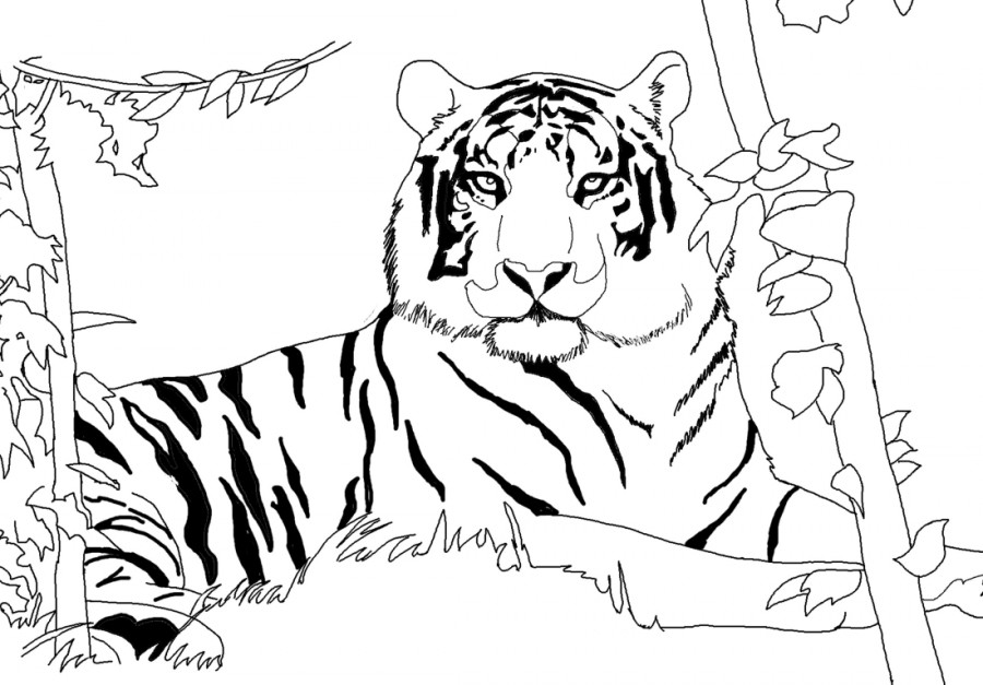 Тигр в лесу - раскраска №9760