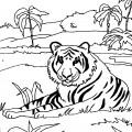 Тигр отдыхает - раскраска №2058