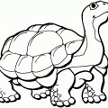 Большая черепаха - раскраска №1524