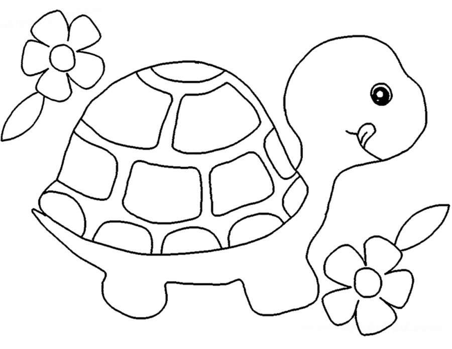 Черепаха и цветы - раскраска №10549