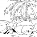 Черепаха на пляже - раскраска №11939
