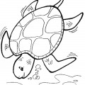 Черепаха ныряет - раскраска №2214