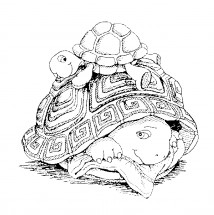 Черепаха с черепашонком - раскраска					№2046