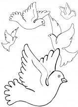 Свадебные голуби - раскраска					№2103