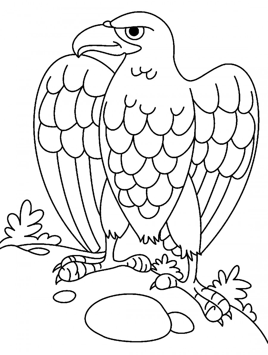 Орел и яйцо - раскраска №2047